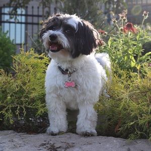 Meet your Posher, Annabella